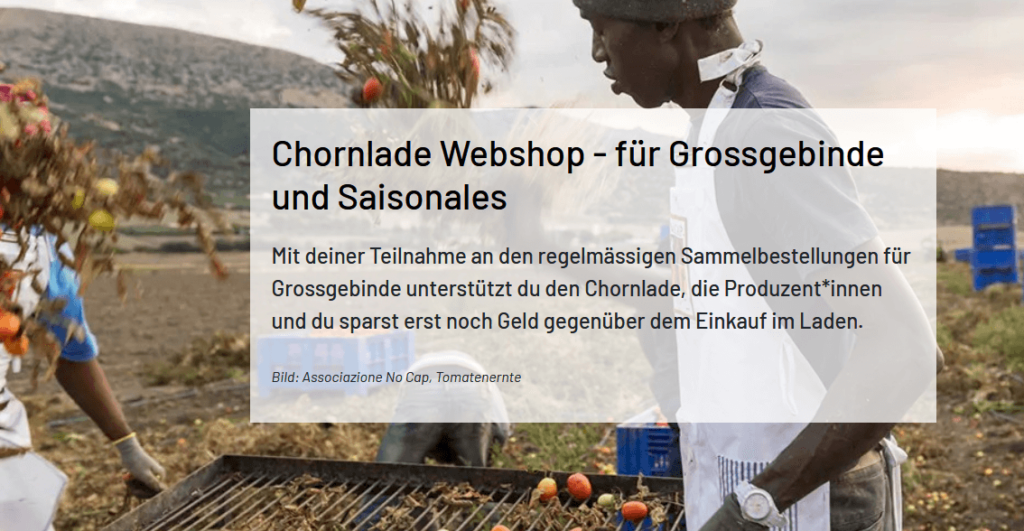 Bild des Chola Webshops